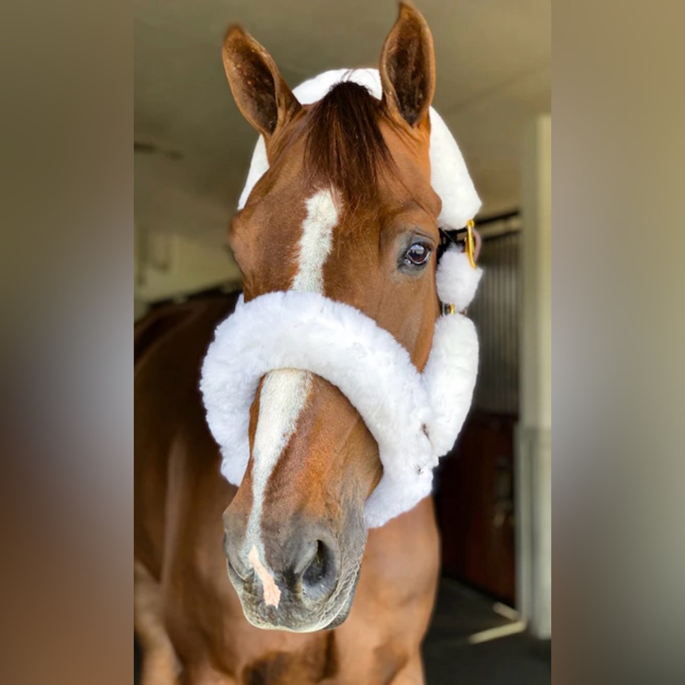 Beval Shipping Halter, Leather & Sheepskin, Horse Size, Good Condition!